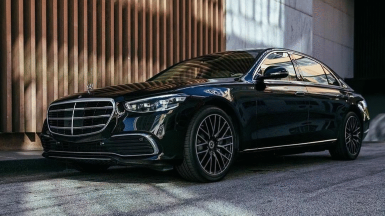 خدمة نقل لفعاليات نيوم-السابحات