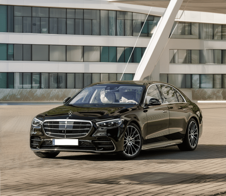 شركة vip للنقل-السابحات