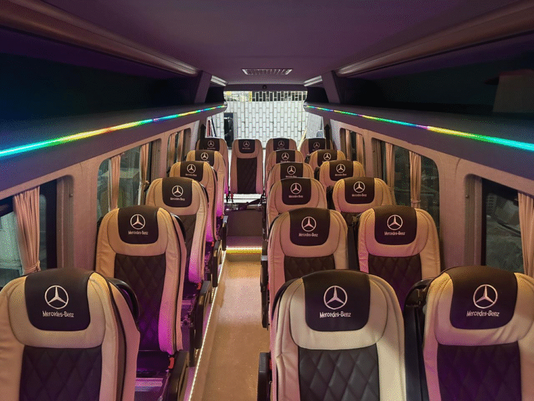 خدمات النقل الفاخر | السابحات